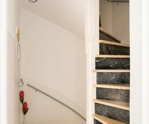 Flowers House נאזרה